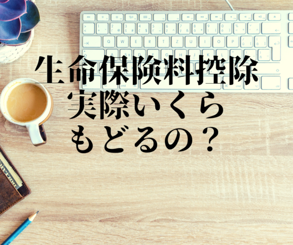 生命保険料控除でいくら節税効果があるのか 社長の保険マエストロ